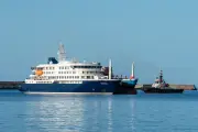 Hantavirus-Ausbruch auf Kreuzfahrtschiff: Quarantäne für Passagier aus Mittelsachsen