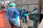 Hantavirus-Ausbruch: Deutsche Passagiere in Quarantäne