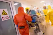 Hantavirus-Kontaktperson aus Kreuzfahrt zur Kontrolle in Düsseldorf