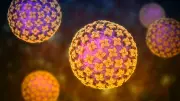 Hantavirus: Symptome, Verlauf und hohe Dunkelziffer in Deutschland
