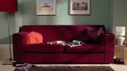 Hellblau und Weinrot: Das neue Trend-Duo für elegante Innenräume