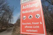 Hohe Waldbrandgefahr im Osten Sachsen-Anhalts: Bürger aufgefordert