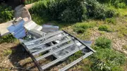 Illegale Cannabis-Plantage in Tilleda: Ermittler suchen Hintermänner