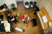 Instrumente boomen: Musikschulen in Sachsen-Anhalt verzeichnen steigende Nachfrage
