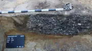 Jahrtausende alte Siedlungen an der Müritz entdeckt – Archäologen begeistert