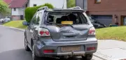 Jungbulle randaliert in Hessen: Polizei muss Tier erschießen lassen
