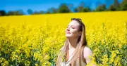 Juni-Wetter 2026: Modelle zeigen klaren Trend zu mild und trocken