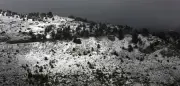 Kälteeinbruch in Griechenland: Schnee bedeckt zahlreiche Berge