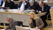 Linke kritisiert Verwaltungsreform in Sachsen-Anhalt scharf