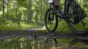 Maskierte Räuber überfallen Spaziergänger und Radfahrer im Wald bei Schwerin