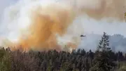 Mega-Waldbrand in Böhmischer Schweiz nahe deutscher Grenze