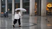 Mehr Regen als üblich: Trübes Wetter in Niedersachsen hält an