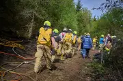 Mehrere Waldbrände fordern Einsatzkräfte in Deutschland und Niederlanden
