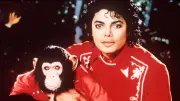 Michael Jacksons Schimpanse Bubbus: Rührendes Update zum Rentnerleben