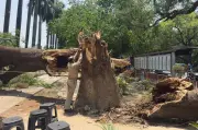 Mindestens 89 Tote durch schwere Unwetter im Norden Indiens