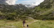 Mit Hund in die Berge: Diese Hütten erlauben Übernachtung