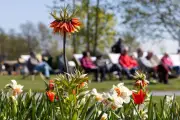 Mülltonnenrennen und Stadtfest: Das ist am 1. Mai in Thüringen los