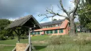 Müritzhof: Wo Pony, Schaf und Rind Naturschutz betreiben