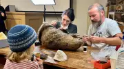 Museumsnacht Halle-Leipzig: 90 Museen begeistern mit buntem Programm