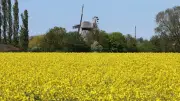 Muttertag mit Sonne satt, dann Frost-Schock durch Eisheilige