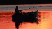 Nach jahrelangem Verbot: Angler dürfen auf zwei Seen bei Schwerin wieder E-Boote nutzen
