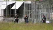 Nach Tiger-Ausbruch: So viele Raubkatzen leben privat in Deutschland
