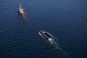 Netz von Barge mit Buckelwal in Ostsee entfernt