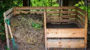 Nährstoff-Falle im Garten: Diese Fehler ruinieren den Komposthaufen