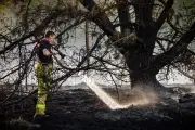 Niederlande: Großbrände auf Übungsgeländen – Deutsche Feuerwehr hilft