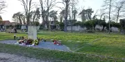 Oranienbaumer Friedhof: Urnengräber werden knapp – Stadt reagiert