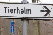 OVG bestätigt Beschlagnahmung von 68 verwahrlosten Hunden in Brome