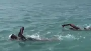 Paar schwimmt von Sri Lanka nach Indien: 11 Stunden im Meer