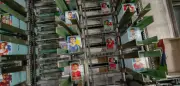 Panini: Kultstatus und Milliarden mit WM-Stickern