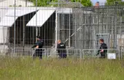 Peta fordert nach Tiger-Ausbruch in Schkeuditz strengere Gesetze