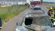 Pferd stirbt bei schwerem Unfall auf L 136 bei Thurland
