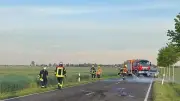 Pferd stirbt bei Unfall auf L136 bei Thurland: 15.000 Euro Schaden