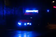 Pferd stirbt bei Zusammenstoß mit Auto in Anhalt-Bitterfeld