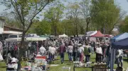 Pferde, Pflanzen, voller Markttag: Großer Trubel in Blüthen