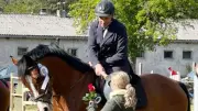 Pferdesport in Ludwigshof: 50 Reiter bei Springturnier am Samstag