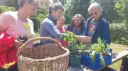 Pflanzentausch und Arbeitseinsatz im Lychener Gemeinschaftsgarten
