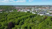 Picknick im Stadtgrün: Lindenpark wird zum Treffpunkt am 5. Juni