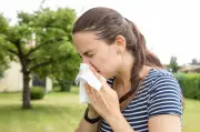Pollenflug im Frühling: Diese Pollen belasten Sachsen-Anhalt besonders
