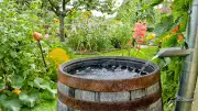 Regenwasser-Gebühren in Mansfeld: Erfassungsbogen sorgt für Verwirrung
