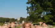 Regisseur David Dietl über seinen Film „Ein Münchner im Himmel“