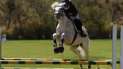 Reitturnier in Groß Nemerow: 61. Auflage mit M-Springen