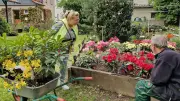 Rhododendron-Paradies in Abberode öffnet seine Pforten