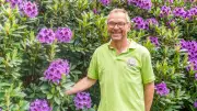 Rhododendronparkfest in Graal-Müritz: Blütenmeer und Starzüchter persönlich