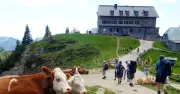 Rotwandhaus: Neustart mit neuem Pächter nach Pächterwechsel und Trinkwasserkrise