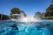 Sachsens Freibäder starten in die Saison – Wasser noch frisch