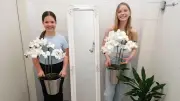 Schüler verwandeln Schulklo in stylische Hotel-Toilette